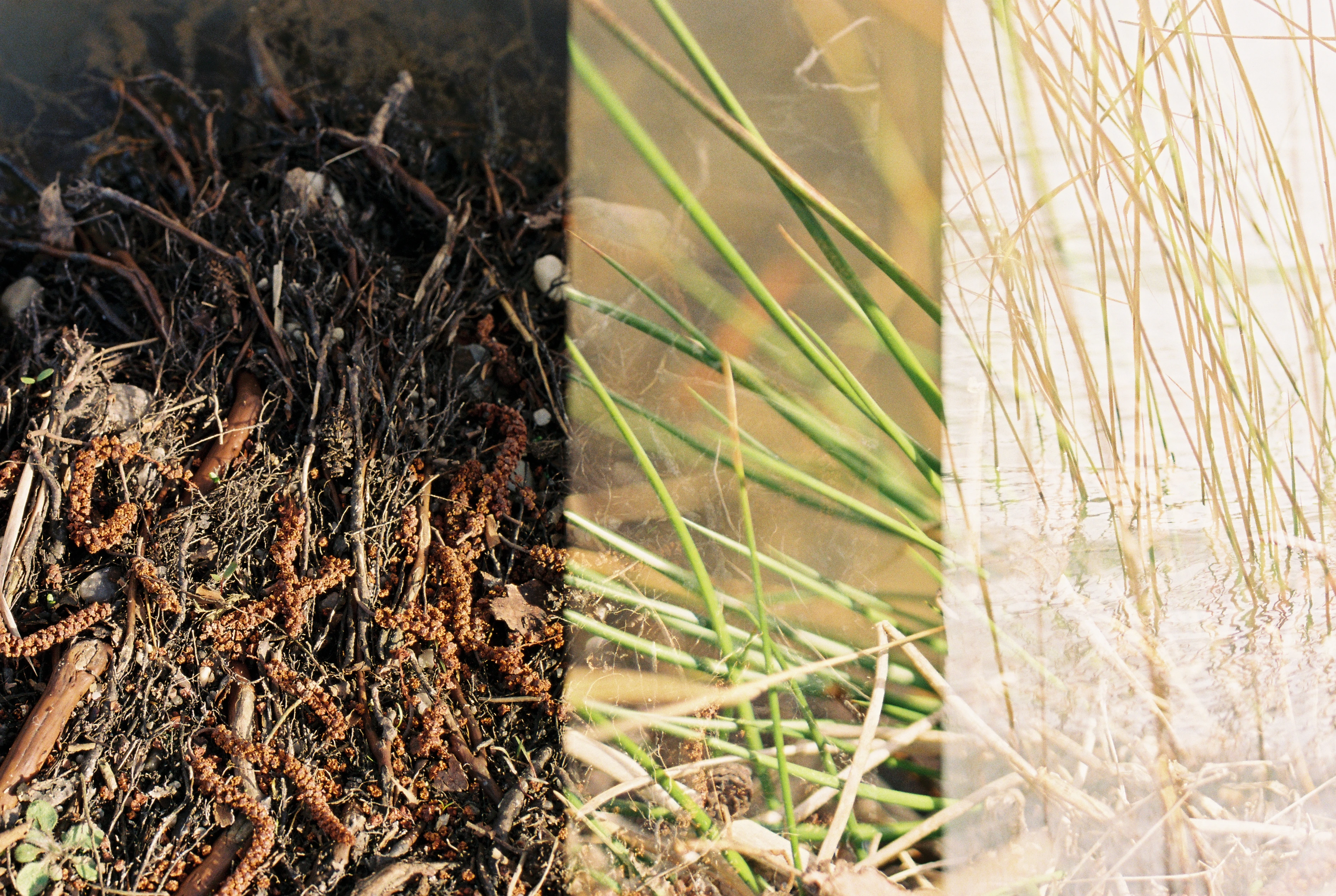 arctic circle project image1